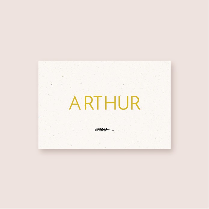 Geboortekaartje minimalistische naam • A6 postkaart • ARTHUR