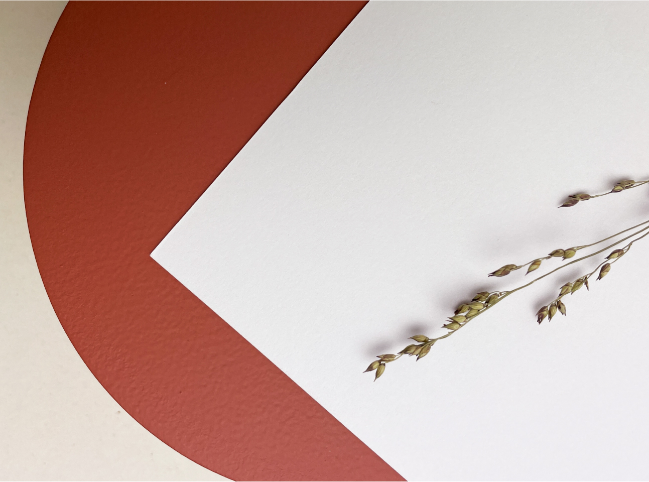 prachtig papier met textuur spierwit