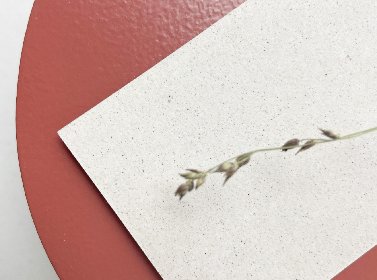 prachtig papier met textuur en spikkels